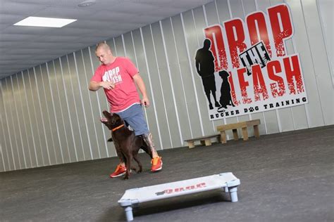 Rucker dog training - Charlie's Board and Train is going very well. He's been working both inside and outside completely off leash. We worked inside tonight and played with...